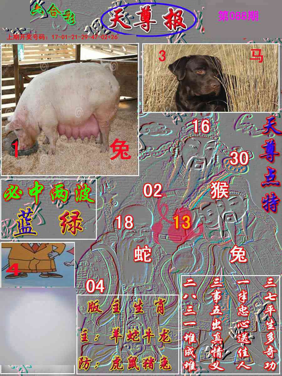 088期天尊报[图]
